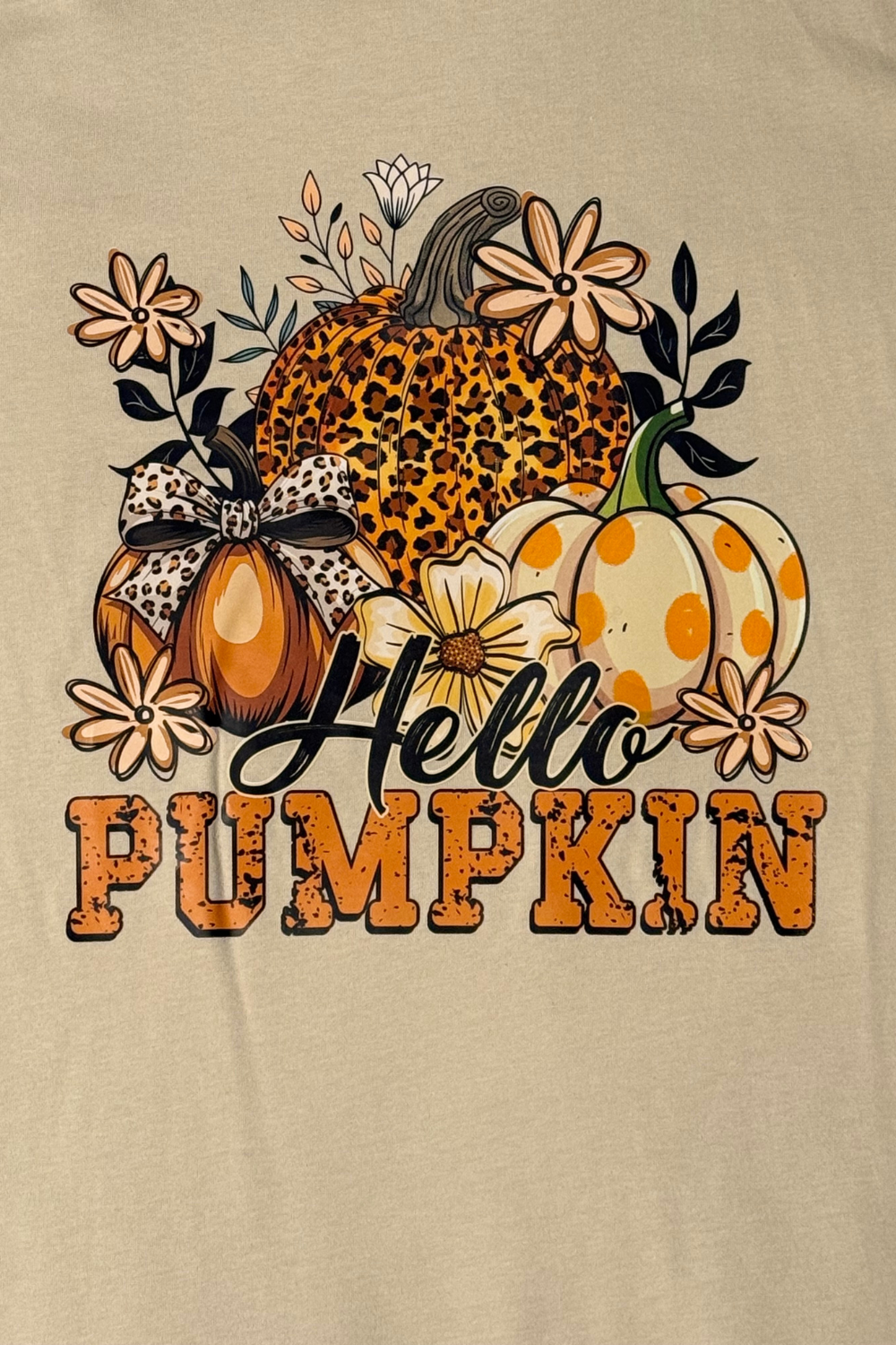Hello Pumpkin T-Shirt